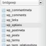phpmyadmin-wp-options.jpg