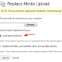 replace-file.png